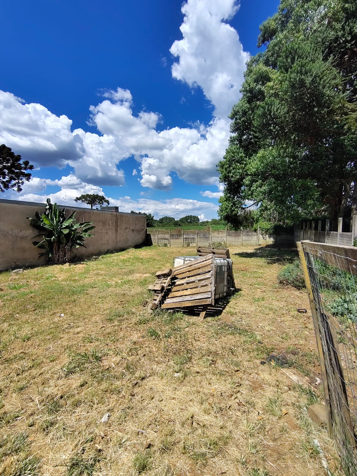 WhatsApp Image 2026-01-26 at 15.18.42 (1)