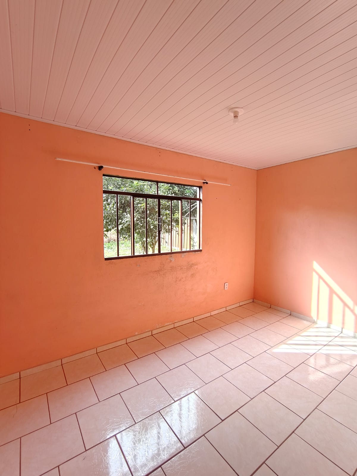 WhatsApp Image 2026-02-01 at 22.39.17